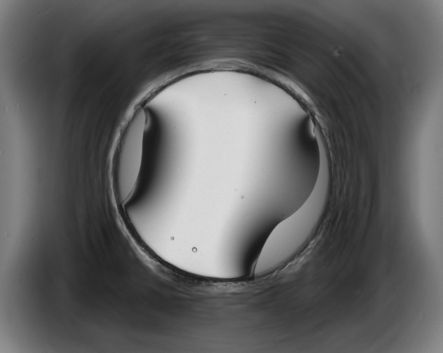 X0000086251430200704191833