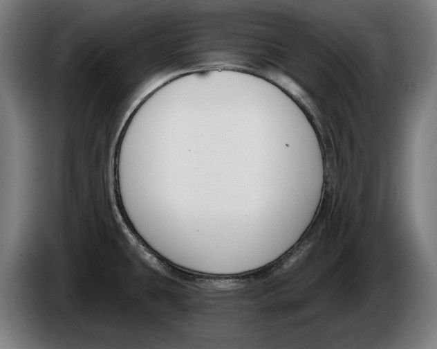X0000086251431200704191833