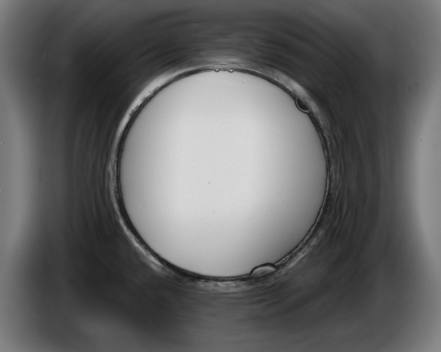 X0000086251432200704191833