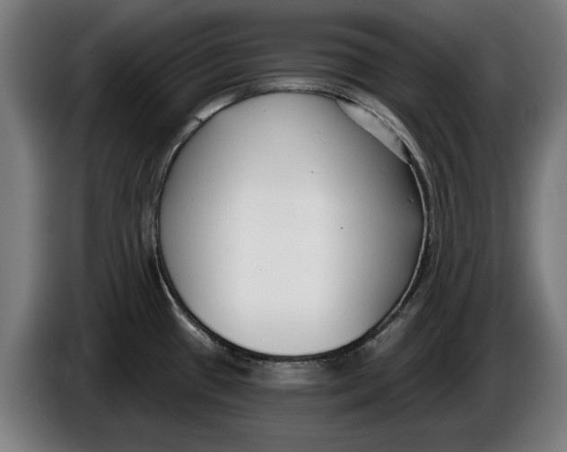X0000086251433200704191833