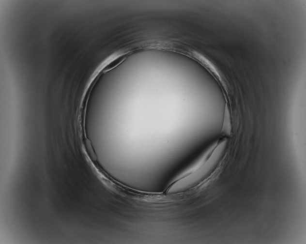 X0000086251434200704191833