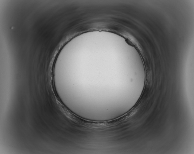 X0000086251435200704191833
