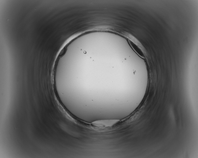 X0000086251436200704191833