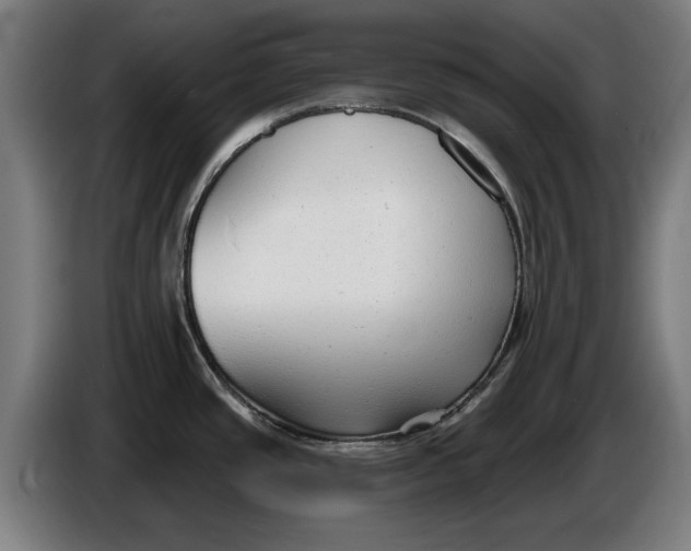 X0000086251437200704191833