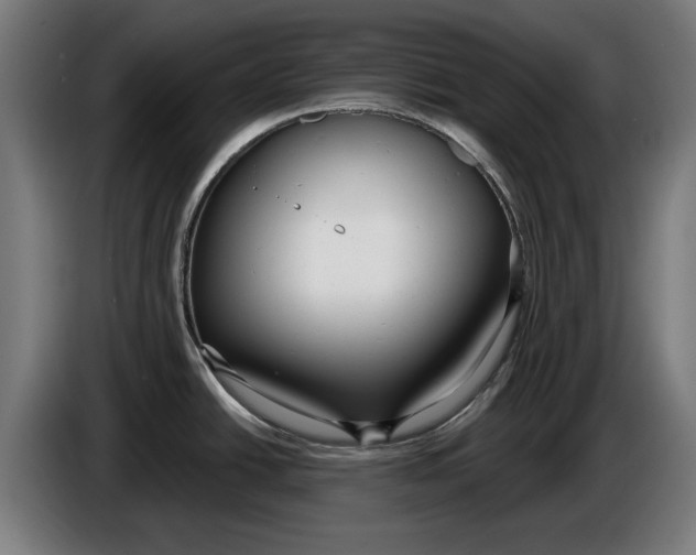X0000086251438200704191833