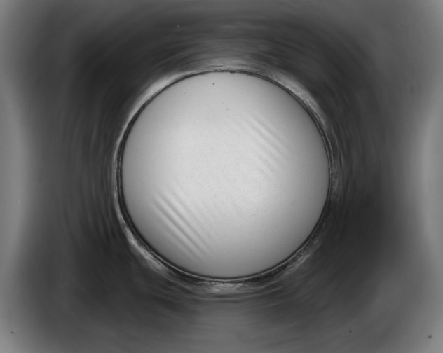 X0000086251439200704191833