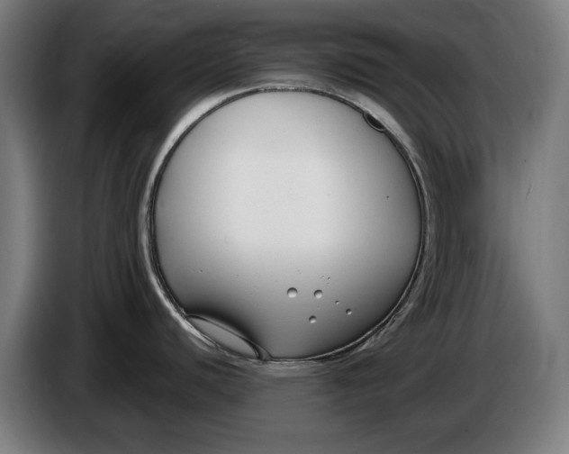 X0000086251440200704191833