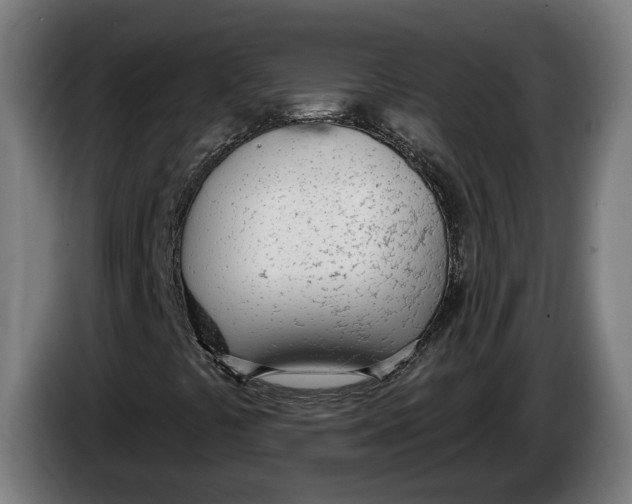 X0000086251441200704191832