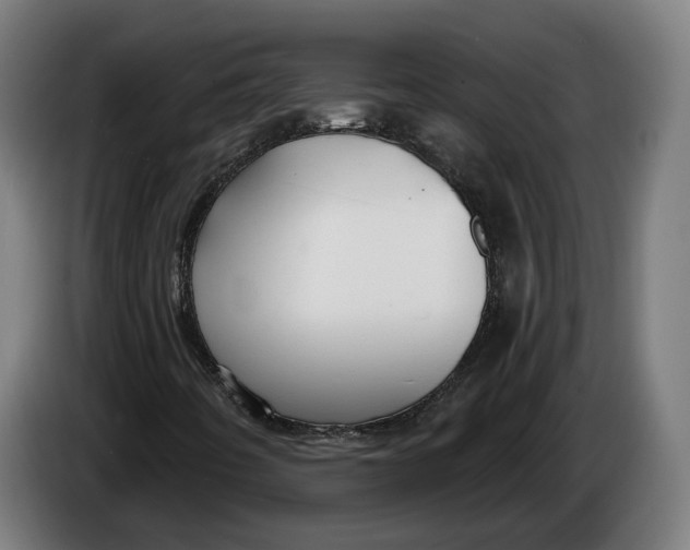 X0000086251442200704191832