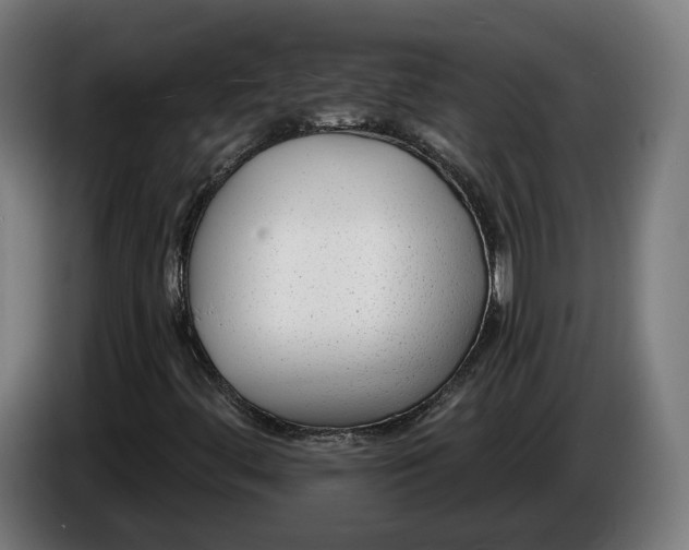 X0000086251444200704191832