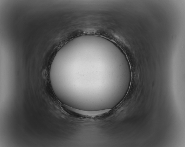 X0000086251445200704191832