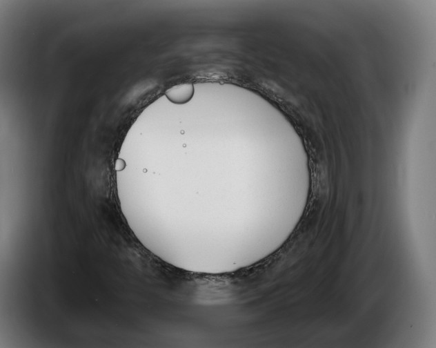 X0000086251446200704191832