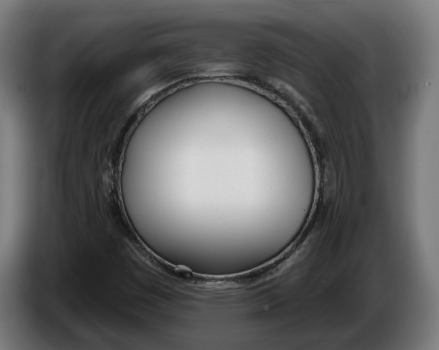 X0000086251449200704191832