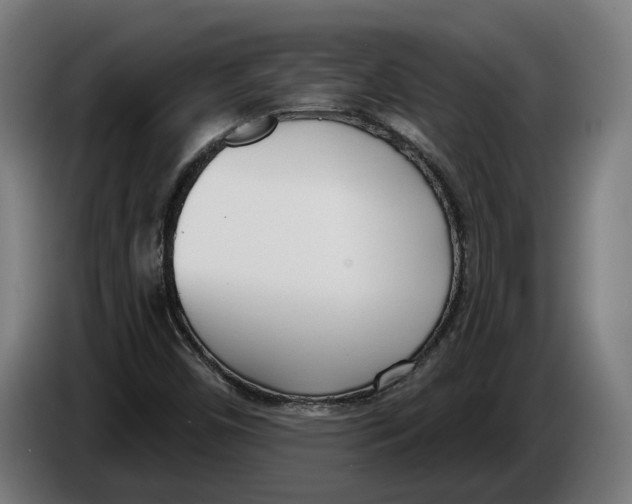 X0000086251450200704191832