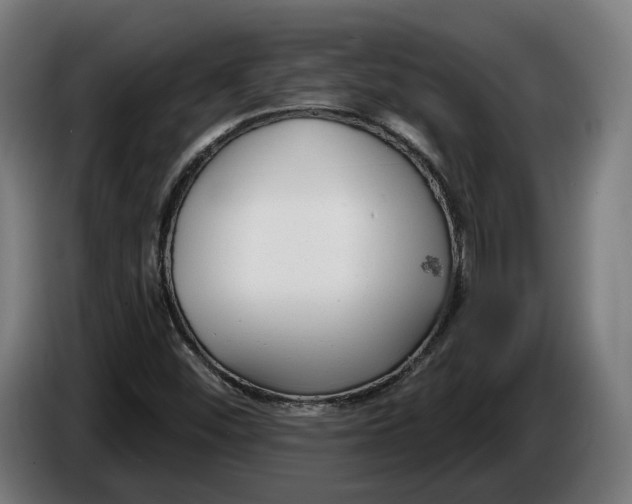 X0000086251452200704191832