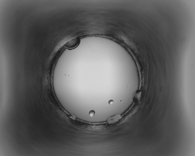 X0000086251453200704191832