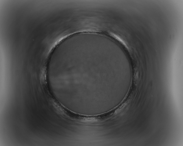 X0000086251455200704191832