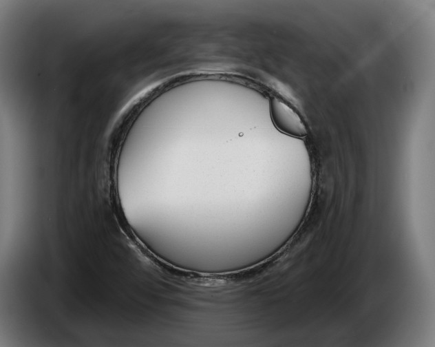X0000086251456200704191832