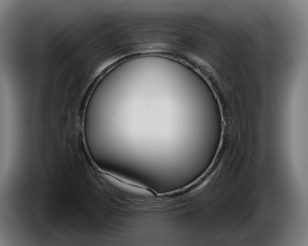 X0000086251457200704191832