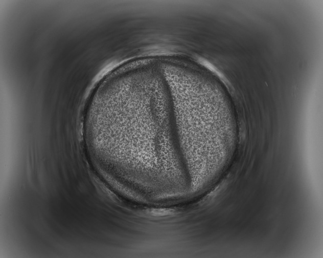 X0000086251459200704191832