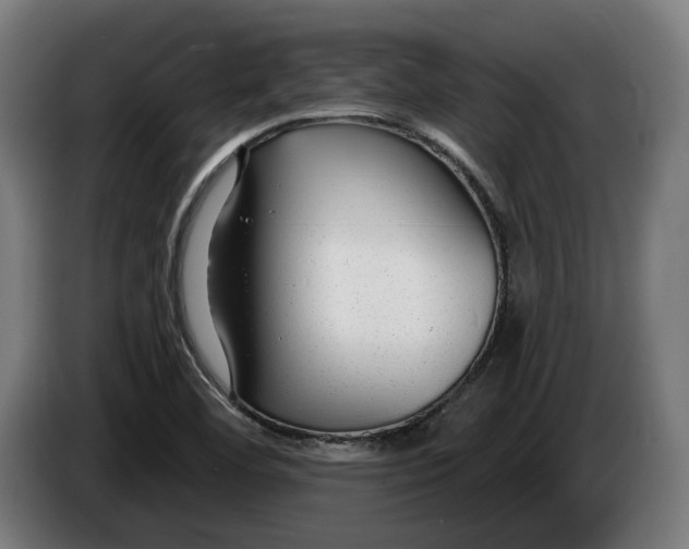 X0000086251460200704191832