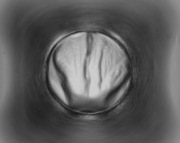 X0000086251463200704191832