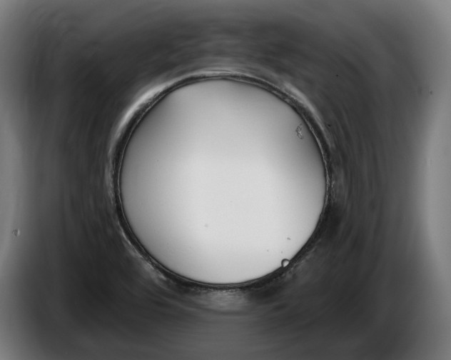 X0000086251464200704191832