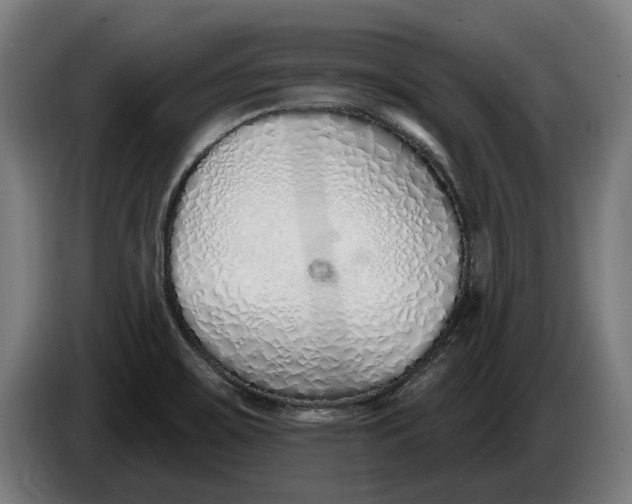 X0000086251467200704191832