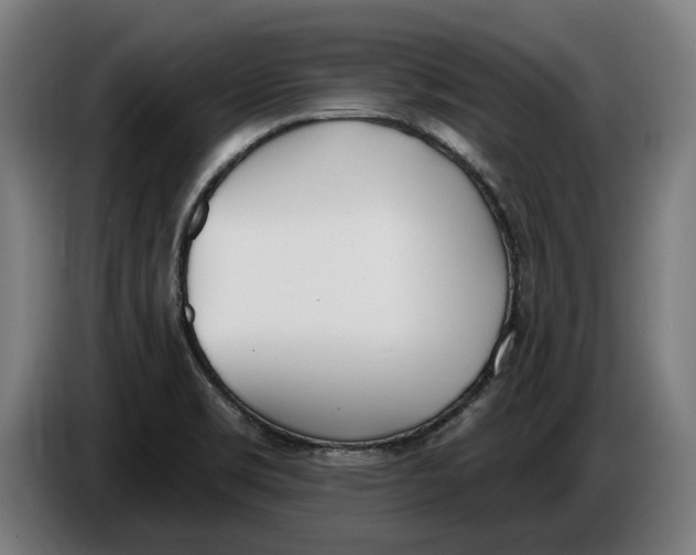 X0000086251469200704191832