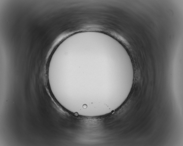 X0000086251470200704191832