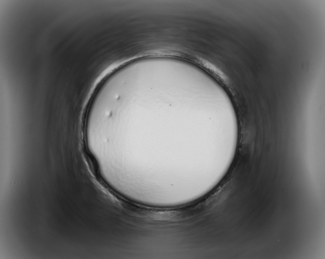X0000086251471200704191832