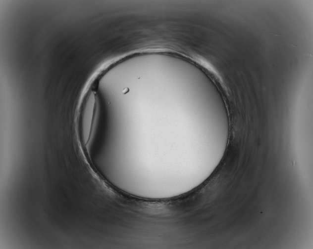 X0000086251472200704191832