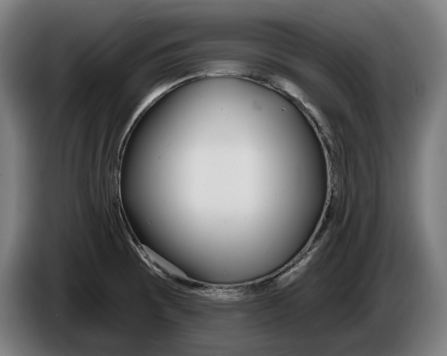 X0000086251473200704191832