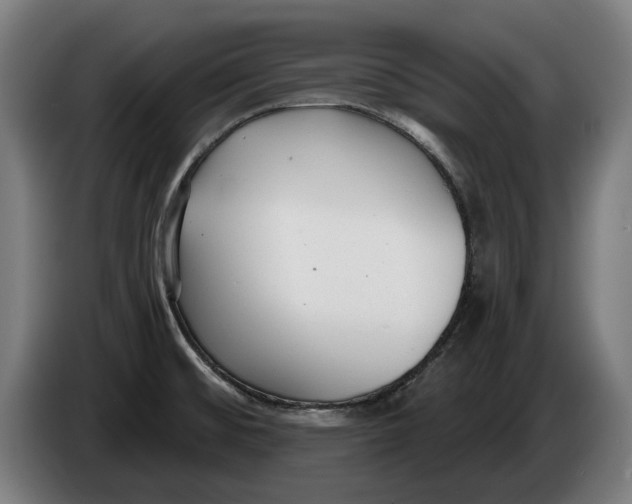 X0000086251476200704191832