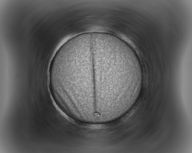 X0000086251479200704191832