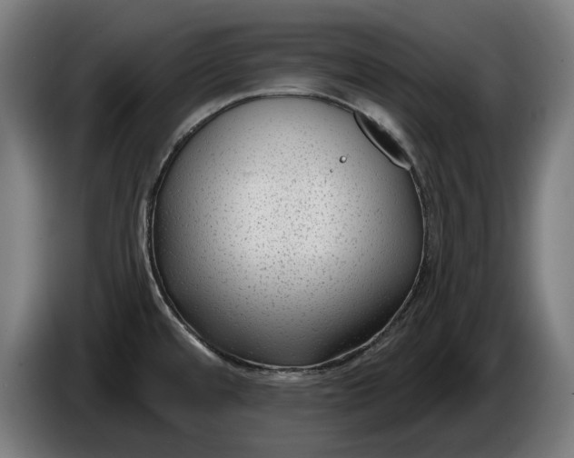 X0000086251480200704191832