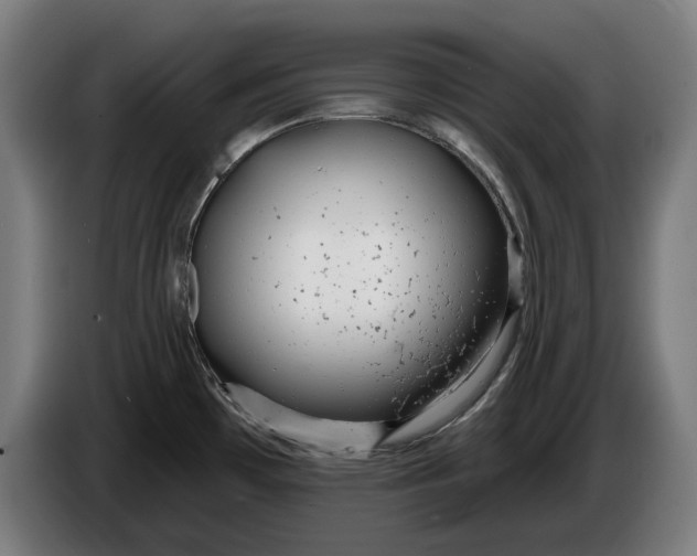 X0000086251481200704191832