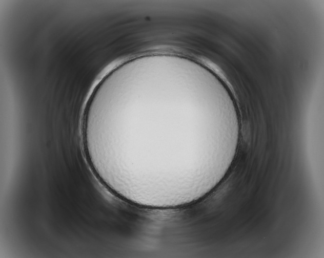X0000086251482200704191832