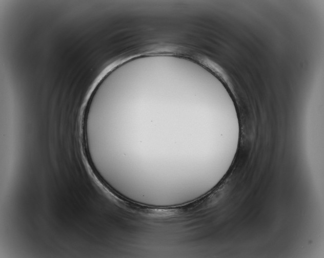 X0000086251483200704191832