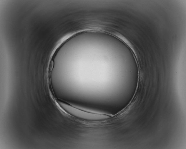 X0000086251485200704191832