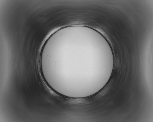 X0000086251486200704191832