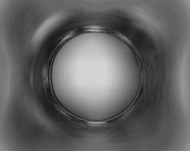 X0000086251487200704191832