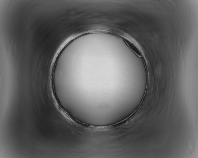 X0000086251488200704191832