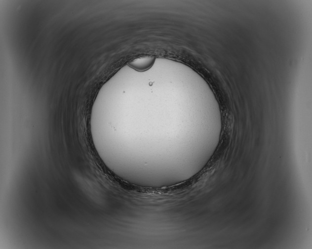 X0000086251489200704191831