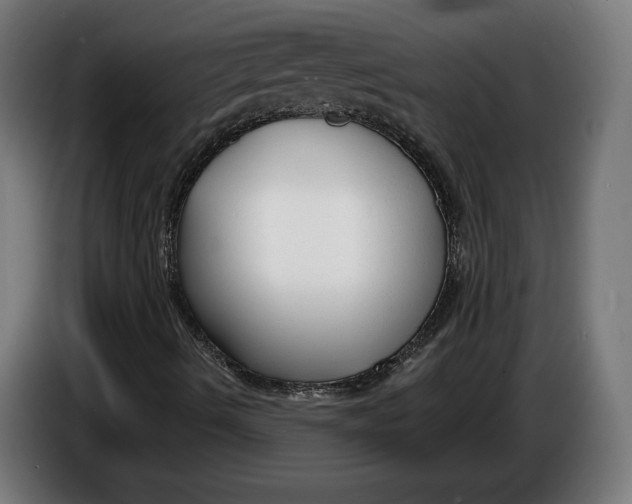 X0000086251490200704191831