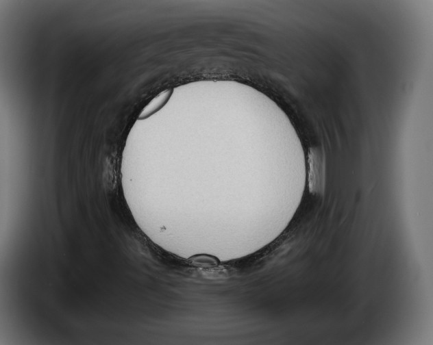 X0000086251491200704191831