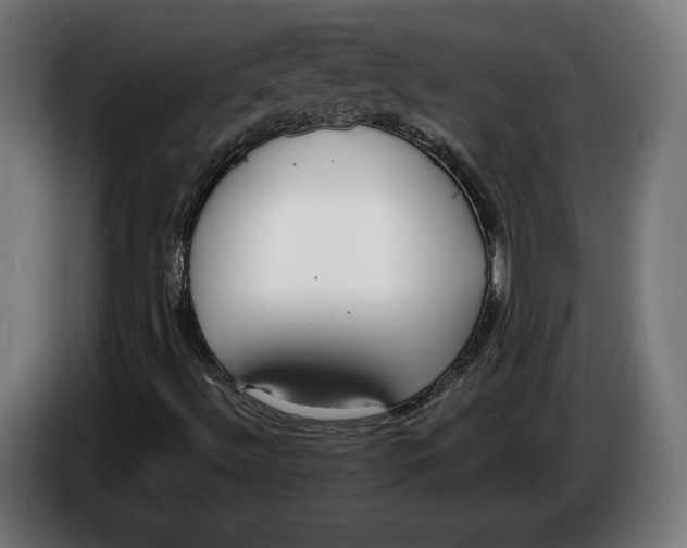 X0000086251492200704191831