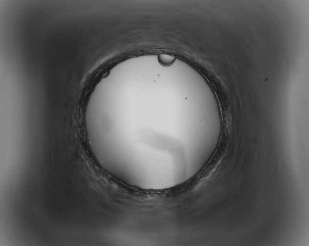 X0000086251494200704191831