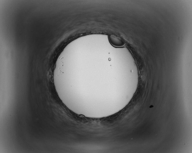 X0000086251495200704191831