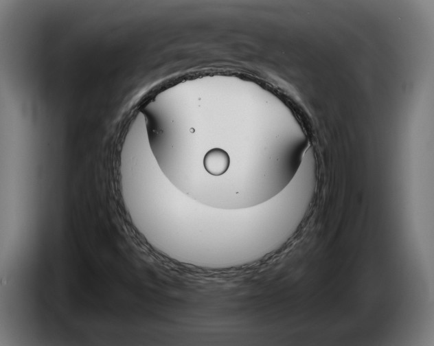 X0000086251496200704191831